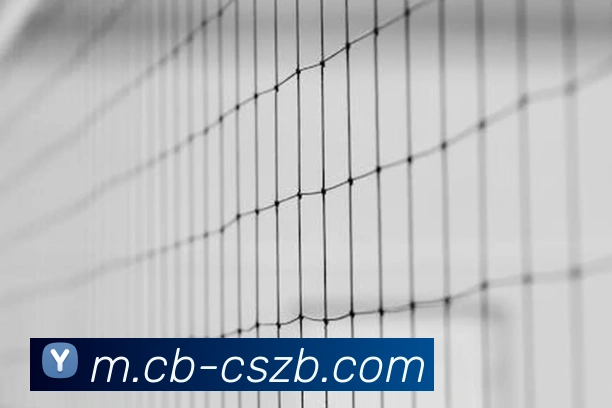 彩神争霸APP 体育赛事宣传图